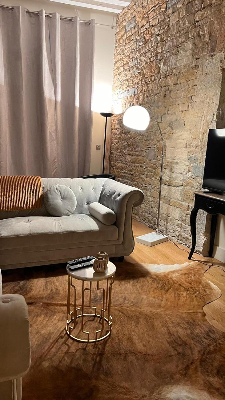 Le Panorama Lägenhet Lyon Exteriör bild